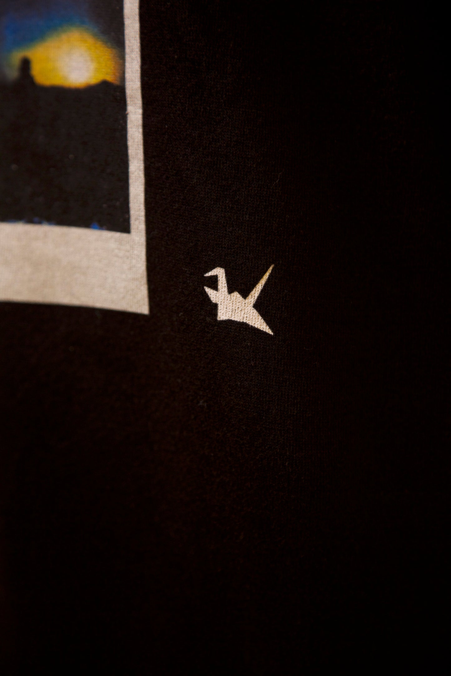 "all the words i could've said" hoodie