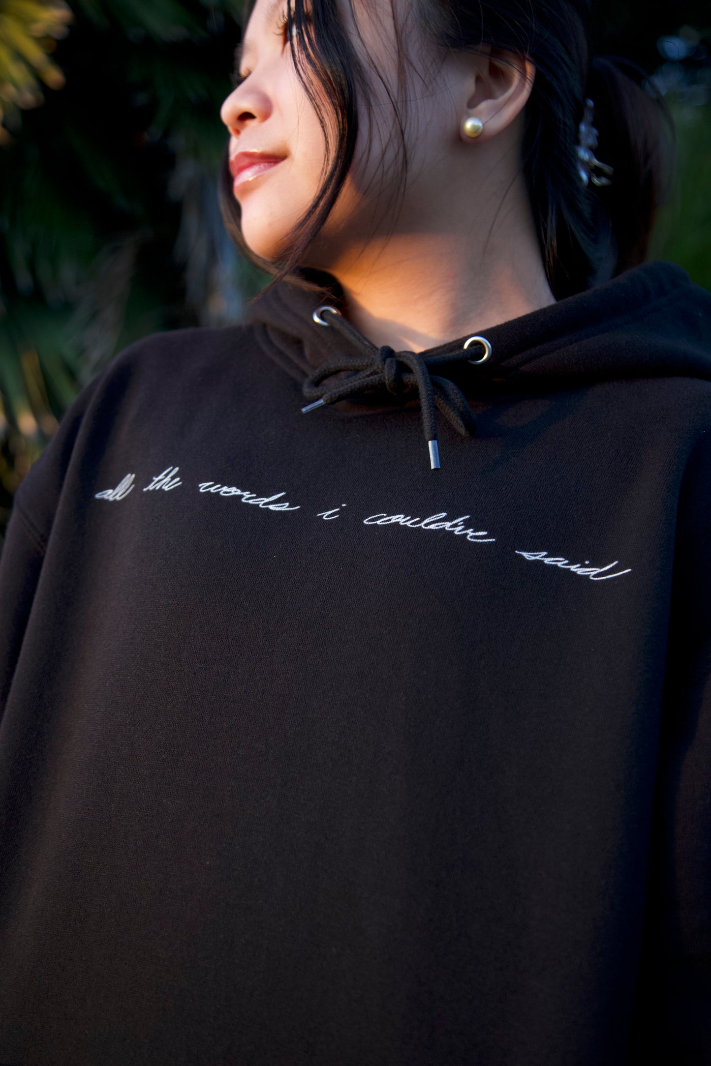 "all the words i could've said" hoodie